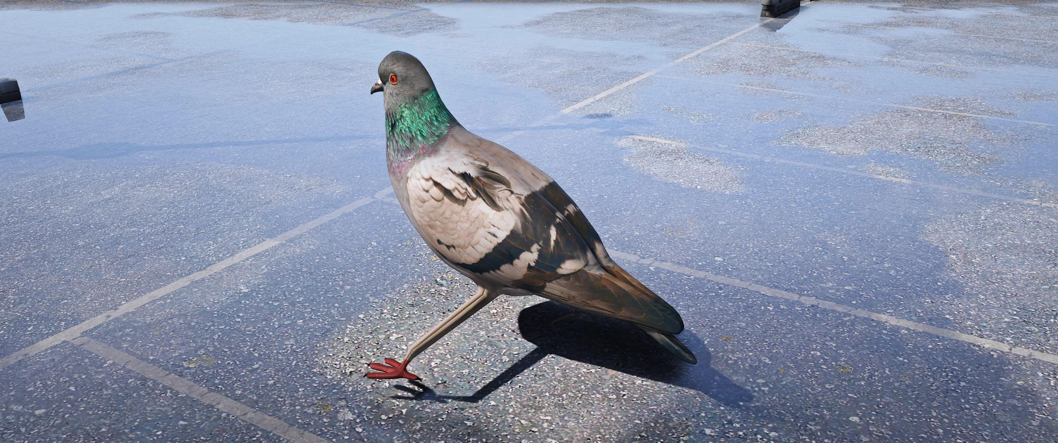 (Lore Friendly) Pigeon - Image 2