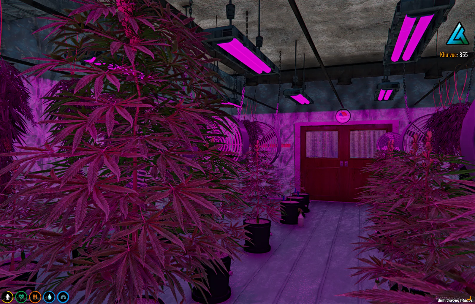 [MLO] Secret underground marijuana plantation - Image 10